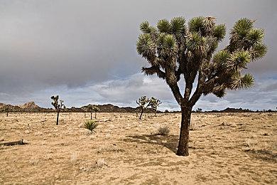 《博德之门3》中还有400多个未知法术待揭晓