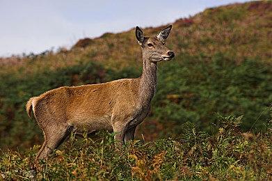 现场试玩好评如潮《明末：渊虚之羽》BW燃爆全场