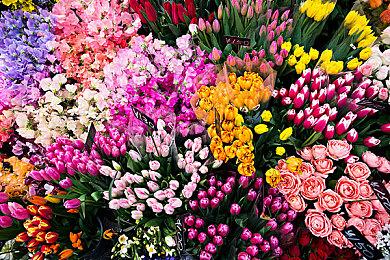 暗黑魔王将《地下城3》带上了Nintendo Switch™